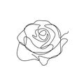 Flower continuous one line art drawing vector illustration. Awesome rose isolated on white background Royalty Free Stock Photo