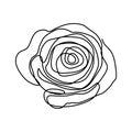 Flower continuous one line art drawing vector illustration. Awesome rose isolated on white background Royalty Free Stock Photo