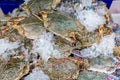 Flower crab, Blue swimmer crab, Blue manna crab, Sand crab, Portunus pelagicus . stack of fresh blue swimming crabs in seafood mar