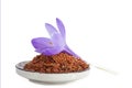 Flower crocus and dried saffron spice in a bowl on white background. Royalty Free Stock Photo