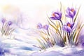 Flower crocus seasonal purple nature beauty snow blossom spring white background Royalty Free Stock Photo