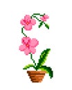 flower cross stitch pattern. Pixel rose flower image Royalty Free Stock Photo