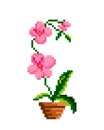 flower cross stitch pattern. Pixel rose flower image