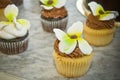 Flower Cupcakes Royalty Free Stock Photo