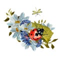 Flower daisy ladybug leaves dragonfly a watercolor Royalty Free Stock Photo