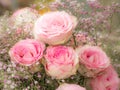 Flower deco with pink roses Royalty Free Stock Photo