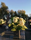 Flower decoration in the cemetery at All Saints Day Royalty Free Stock Photo