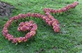 flower decoration on lawn yard for Traditional Thai alphabet number nine