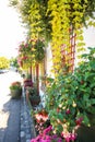 Flower decoration outside a house