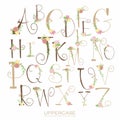 Flower decoration pattern alphabet letter.uppercase graphic font