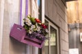 Flower Decoratoin Of A Facade Of A Building In Italy Royalty Free Stock Photo