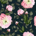 Watercolor seamless floral pattern. Flower delicate pattern of flowers Eustoma, Lysianthus. Royalty Free Stock Photo