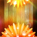 Flower with dew on wood. plus EPS10