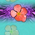 Flower Digital Textile Design, Water Drop in flower, Flower Background