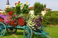 Flower displayed wine cart at grape harvest in Beaujolais region of France Royalty Free Stock Photo