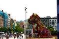 Flower dog `puppy` in Bilbao