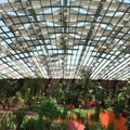 Flower dome