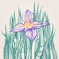 Flower doodle