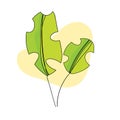 green leaft flower doodle hand drawn modern cute style