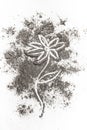 Flower drawing illustration concept in ash, dust, dirt