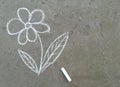 Flower is drawn with chalk on the asphalt. summer. banner place for text, children, creativity, copy space