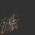 A flower drawn with a gold line on a black background. Royalty Free Stock Photo