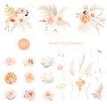 Flower and dried plants vector design big set. Wedding watercolor flowers. White peony, peachy roses, dried palm leaves Royalty Free Stock Photo