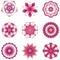 Flower Element Set Royalty Free Stock Photo