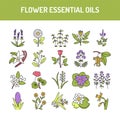 Flower essential oils color line icons set. Pictogram for web page, mobile app, promo