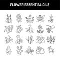 Flower essential oils color line icons set. Pictogram for web page, mobile app, promo