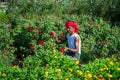 Flower Farmer Working In Field 