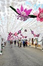 Flower Festival (festas do povo, Campo Maior 2015, Portugal)