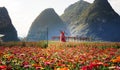 Flower field with windmill and karst formations background in Ch