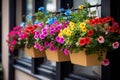 Flower filled window boxes. Closeup of colorful blooming flowers in window planters boxes adorning city building. Urban Royalty Free Stock Photo