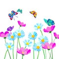 Flower floral summer chamomile butterfly insect