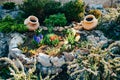 Flower flowerbed among stones. Floral arrangements in a zen garden Royalty Free Stock Photo