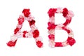 Flower font alphabet A B set collection A-Z, made from real Carnation flowers pink, red with paper cut shape of capital letter