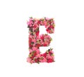 Flower font alphabet E decorative with colorful red rose white lily isolated on white background , clipping path for Wedding , Royalty Free Stock Photo