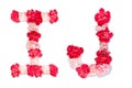 Flower font alphabet I J set collection A-Z, made from real Carnation flowers pink, red with paper cut shape of capital letter
