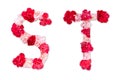 Flower font alphabet S T set collection A-Z, made from real Carnation flowers pink, red with paper cut shape of capital letter