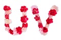 Flower font alphabet U V set collection A-Z, made from real Carnation flowers pink, red with paper cut shape of capital letter