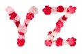 Flower font alphabet Y Z set collection A-Z, made from real Carnation flowers pink, red with paper cut shape of capital letter