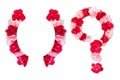 Flower font for symbol bracket, question mark collection alphabet A-Z set, made from real Carnation flowers pink, red color