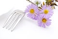 Flower and fork Royalty Free Stock Photo