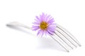 Flower and fork Royalty Free Stock Photo