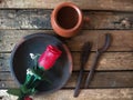 Flower, fork, spoon cup on wood background Royalty Free Stock Photo