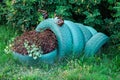 A flower in the form of a frog made of used automobile tires