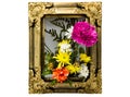 Flower in frame