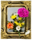 Flower in frame