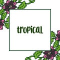 Flower frame and green leaves, poster tropical, on white background. Vector Royalty Free Stock Photo